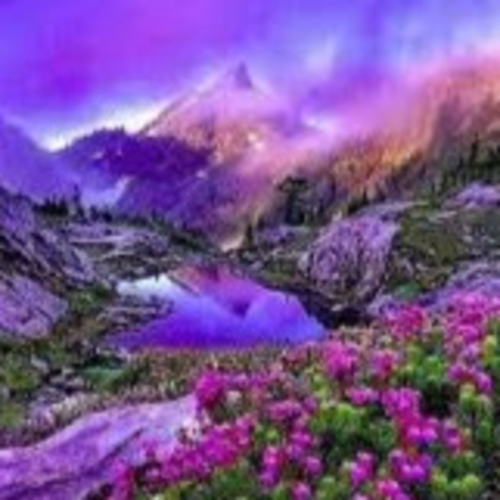 Meet your Posher, Abril